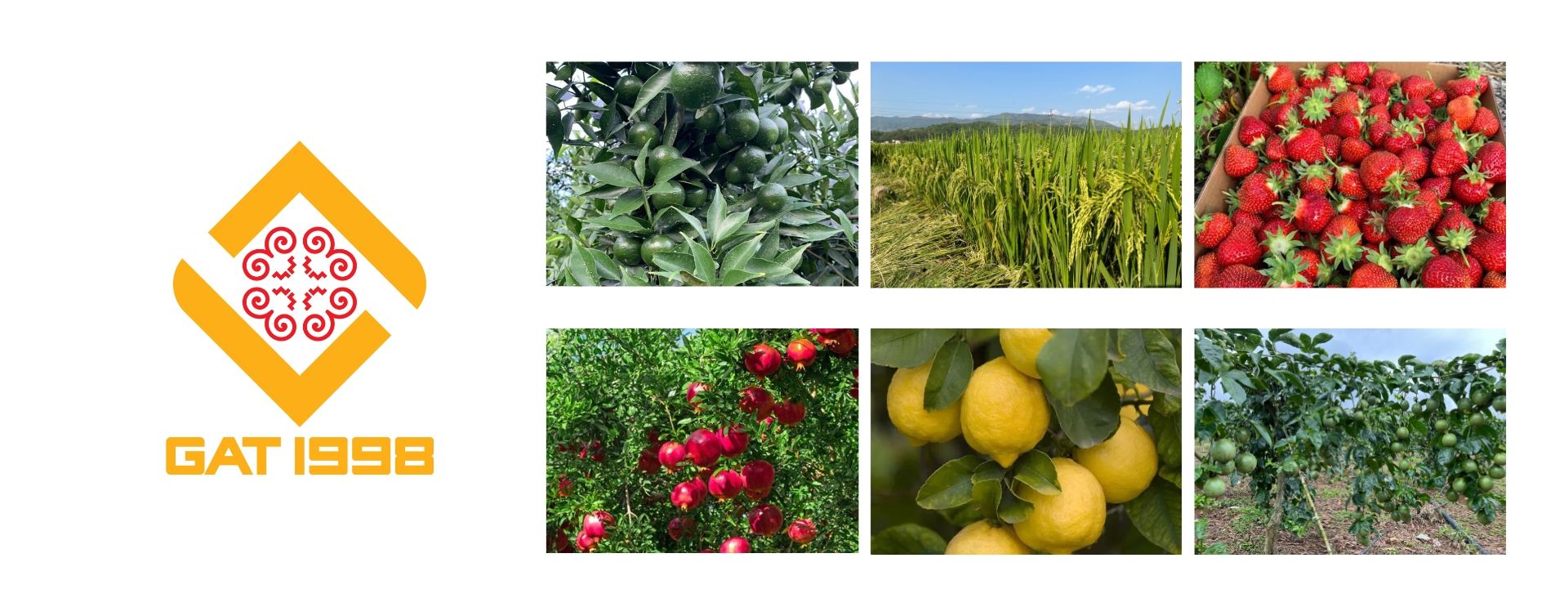 We create the development of Vietnam's agricultural production and contribute to improving the productivity and quality of agricultural products